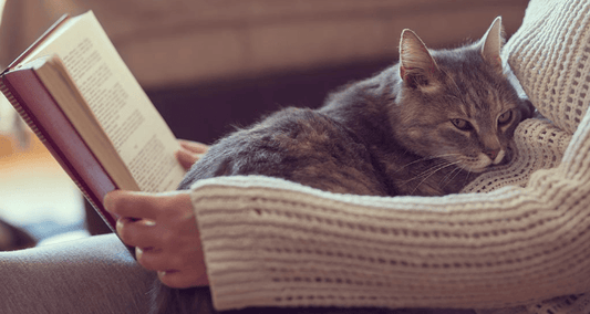 Entendiendo el Comportamiento de Amasado de los Gatos: Una Muestra de Afecto