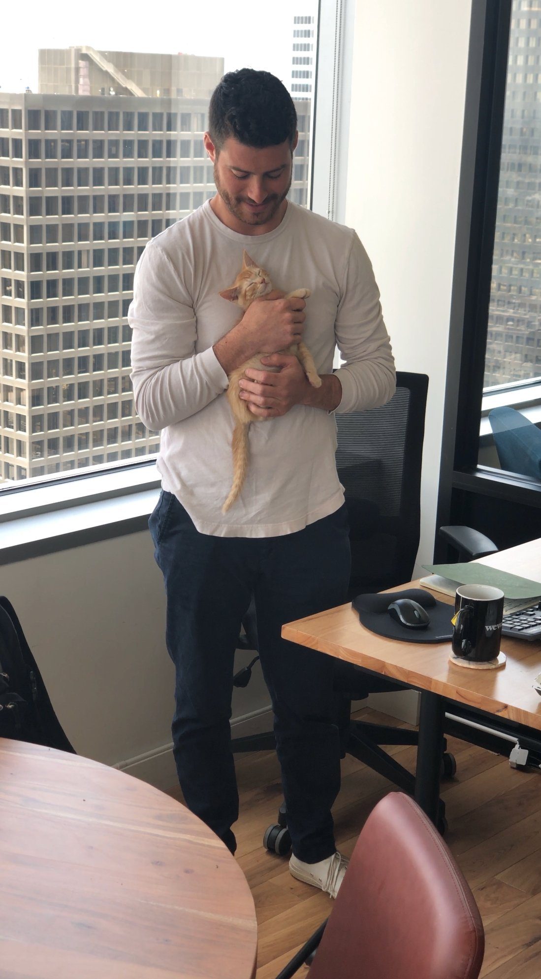 Cómo Elegir la Mejor Arenilla para Gatos y Otras Recomendaciones Felinas para el Día del Padre